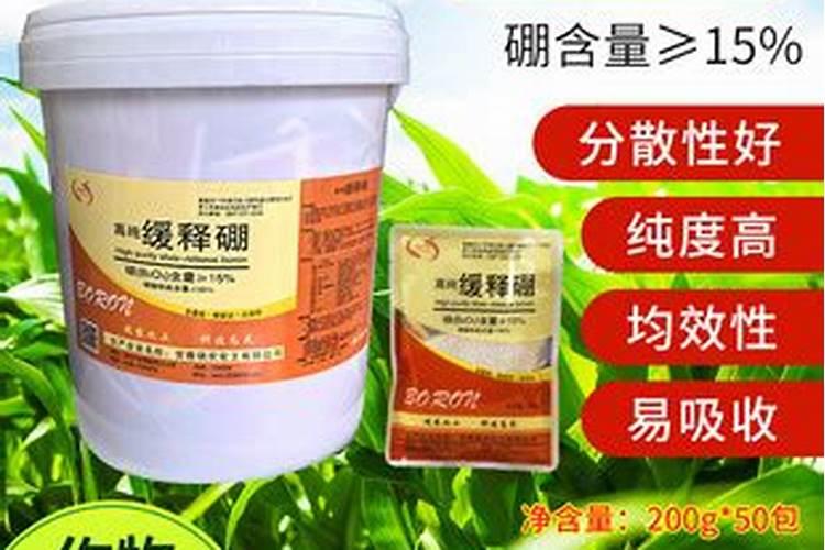 山乌龟用什么肥