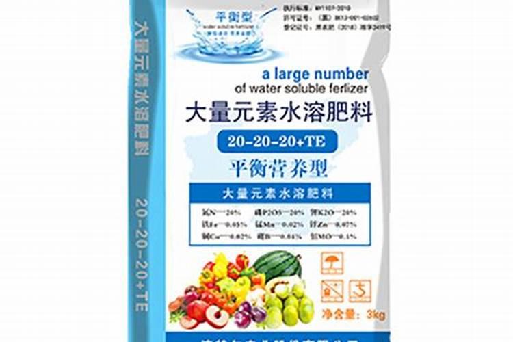 香芹的种植方法及技术要点