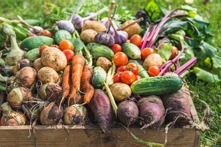 水果一般要施什么肥料才更甜？