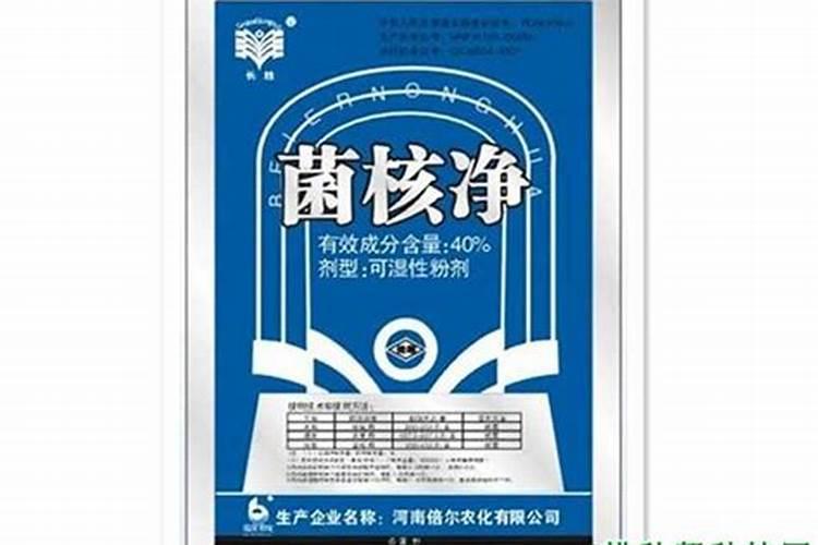 茼蒿菜菌核病发生怎么办？