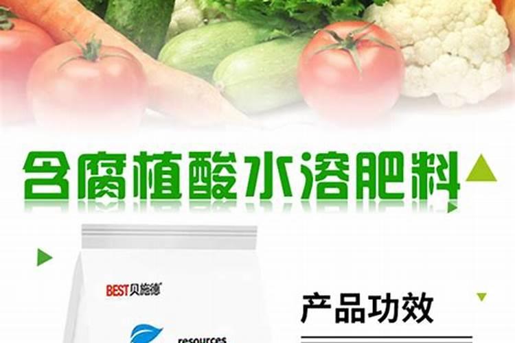 西瓜底肥过多烧苗怎么办？