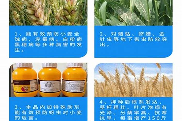 高氯氟噻虫胺和炔螨特可以混合用吗？
