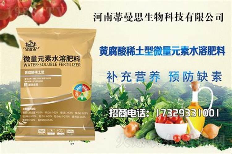 月季怎样喷施叶面肥？