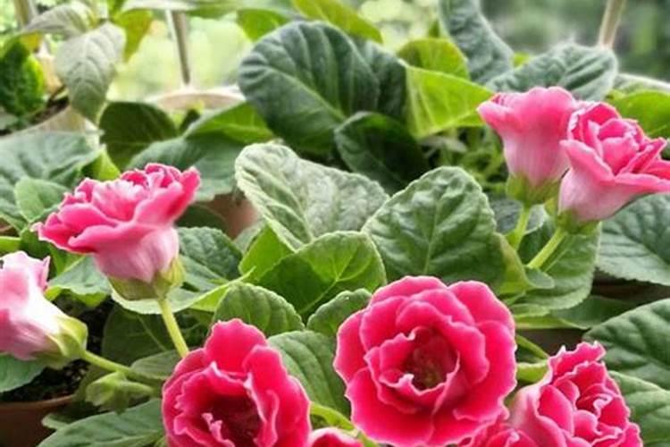 陕建十四建公司简介