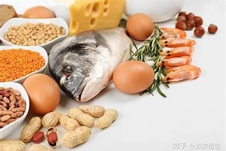 动物蛋白和鱼蛋白的区别