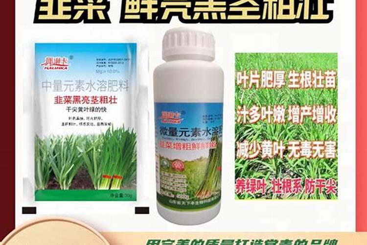 过期茶叶的八大妙用,过期的陈茶叶还能干什么用？