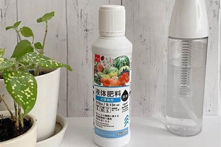 草莓结果期施什么肥？草莓早熟高产栽培技术!