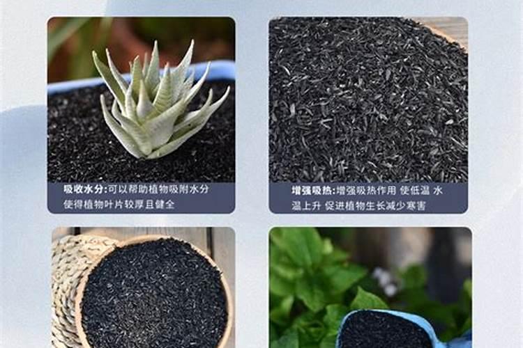 多肉需要氮磷钾肥吗(多肉可以用磷肥吗)