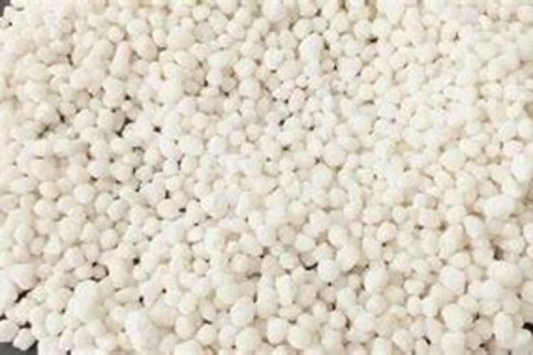 Heidi Klum为什么被称之为“海妈”？