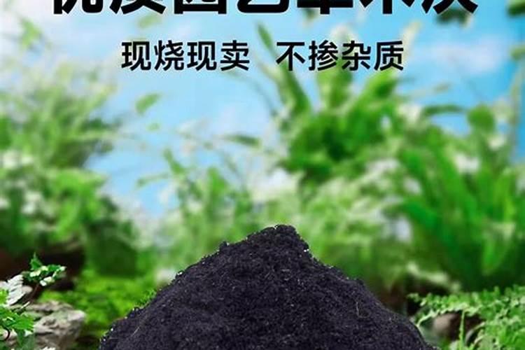 上海宸瑟服饰有限公司怎么样？