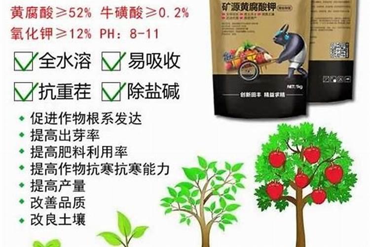 秋季果树施什么肥好