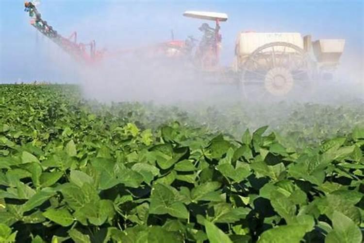 大豆追肥的最佳时期