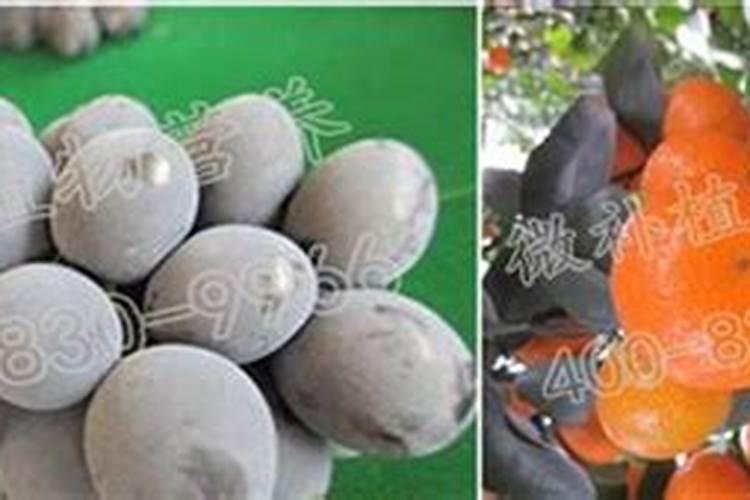 农用防裂果用什么钙最好