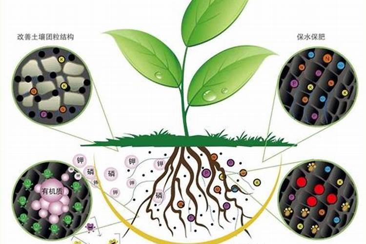 腐植酸钾使用方法
