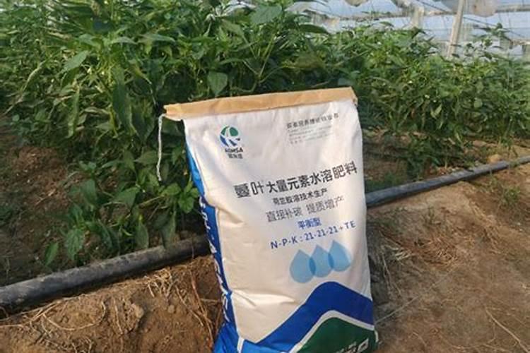 水溶肥冲上几天见效