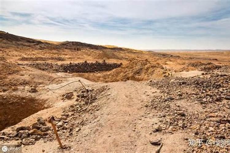 小区外的那片荒地有没有种菜的可能性