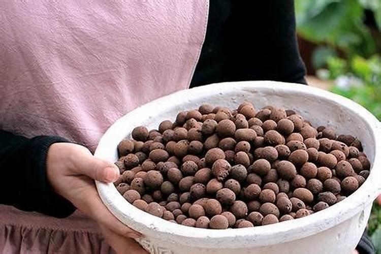 复合肥能溶解水中冲施吗