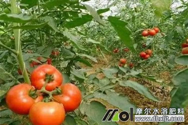 如何应对与解决总磷超标问题!