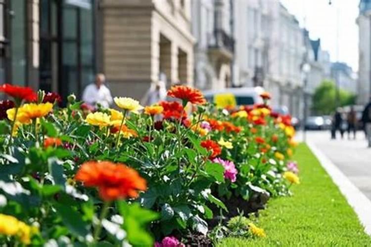 五谷杂粮怎么吃