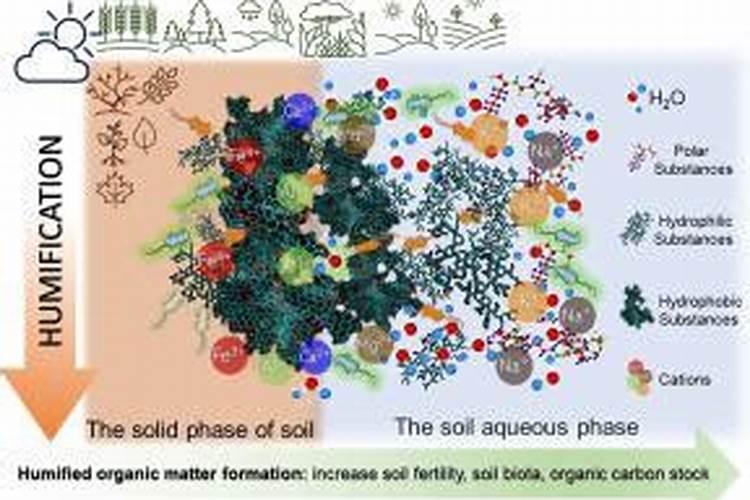 腐植酸水溶肥代替尿素可以吗