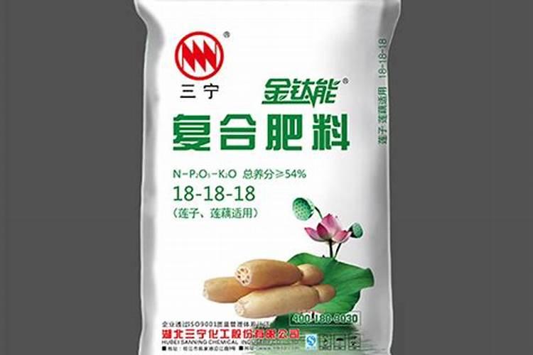 长寿花施肥时间和方法