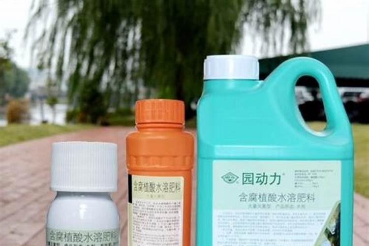 君子兰用什么肥料最好