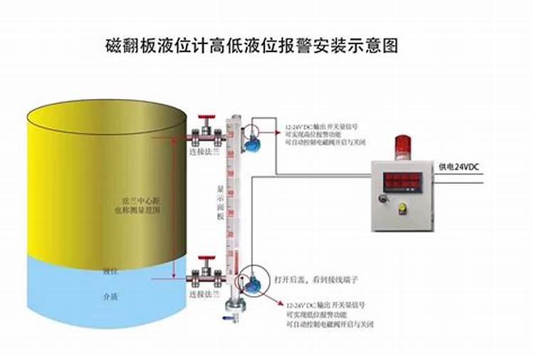 杨梅树哪个品种好？