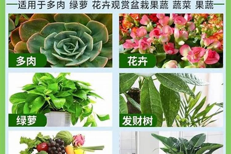 叶面肥可以浇花吗