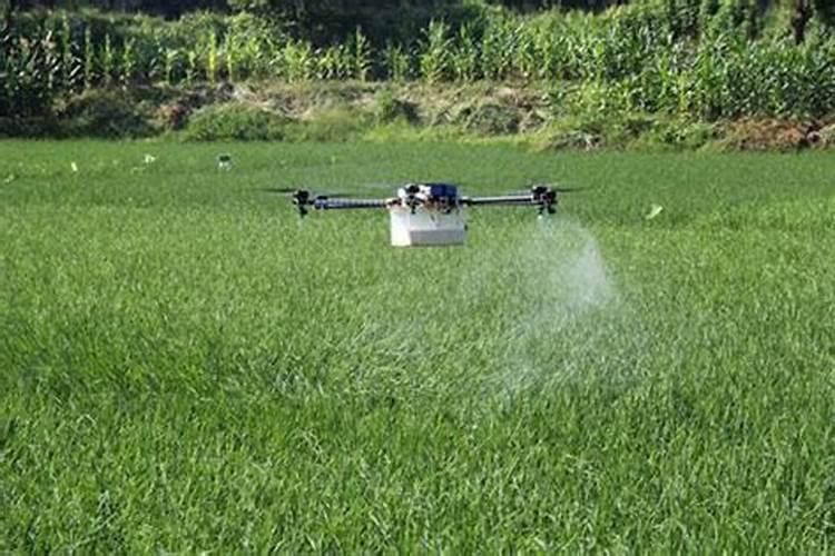 海藻糖是什么护肤功效