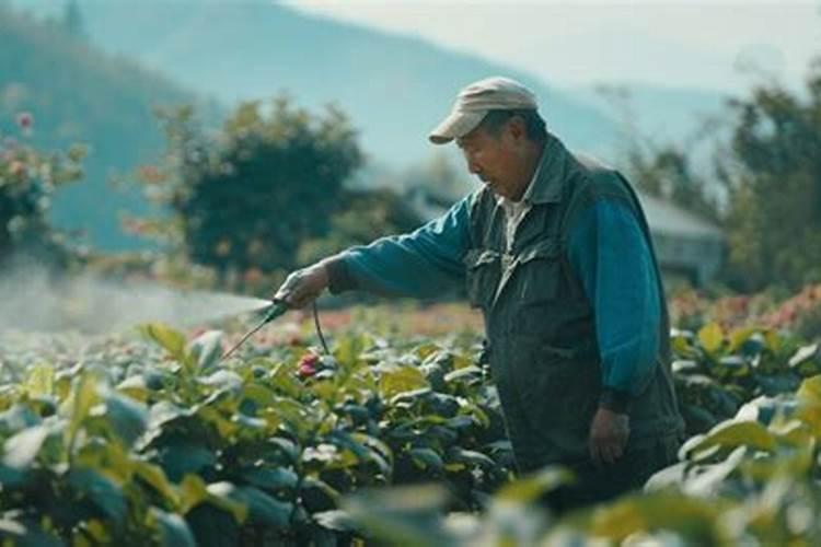 树叶落到水中变成什么