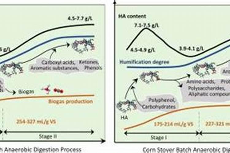 百香果外壳具备哪些使用途径