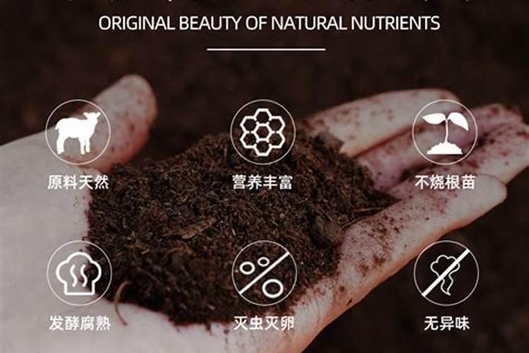 有机肥种花什么牌子好