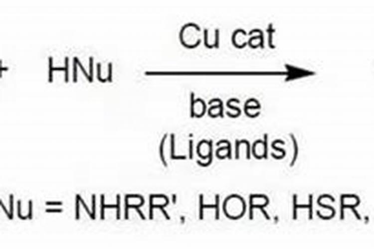施必快和鹦鹉漆哪个好
