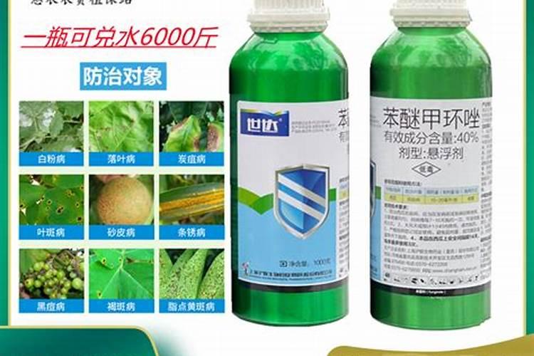 植物叶斑病用什么药