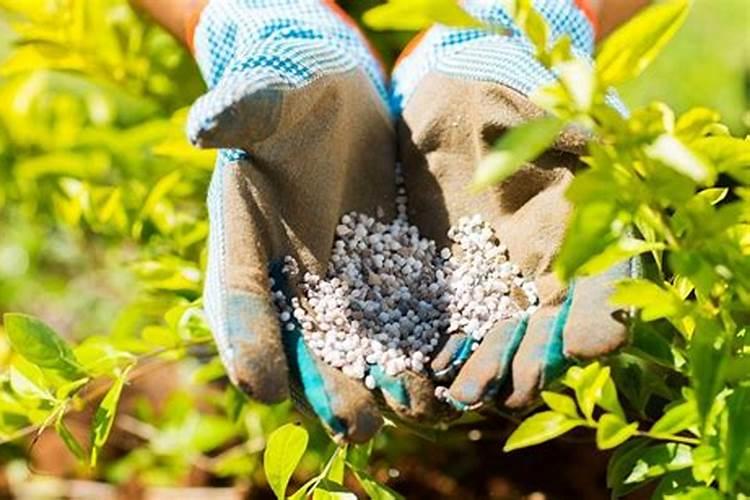 二氧化碳的施肥效应