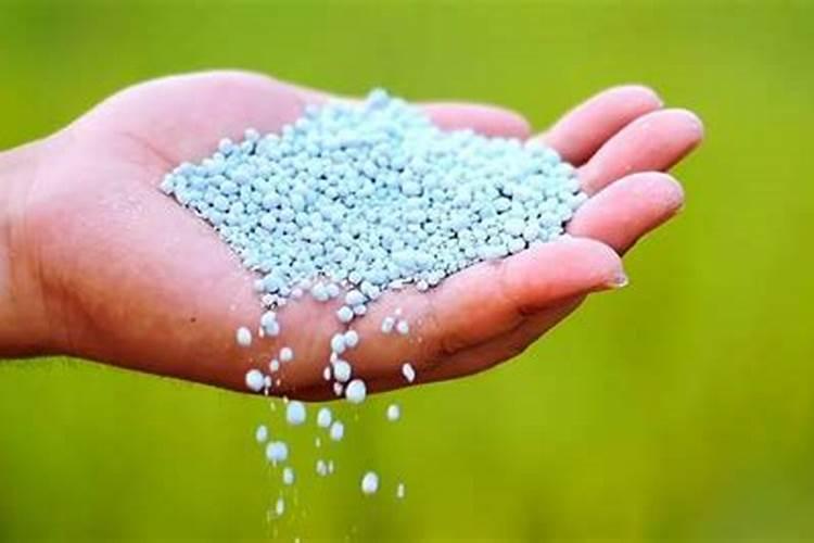 尿素对花草的作用