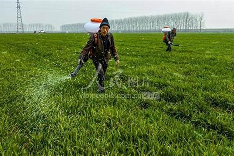 隆耕牛有机水溶肥价格表