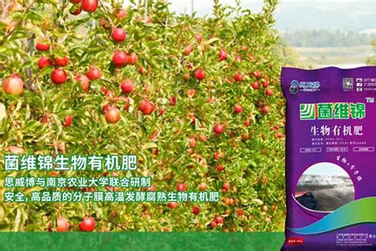 有机肥有机质含量标准