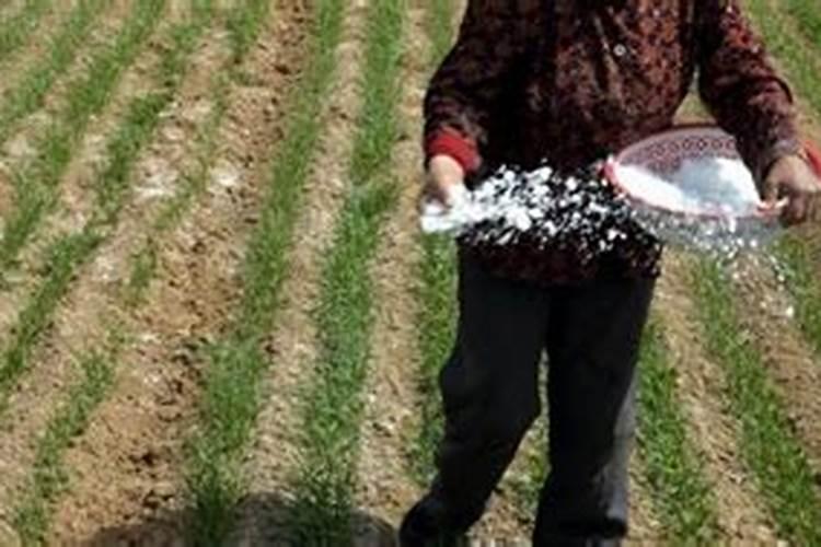 303030复合肥和普通复合肥价格差多少