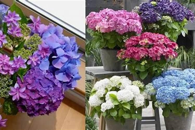 中农老挝钾肥骗局？