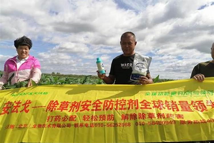 大豆苗期追肥的最佳时间