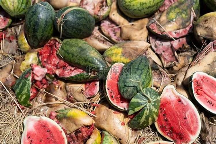 西瓜根部腐烂怎么治
