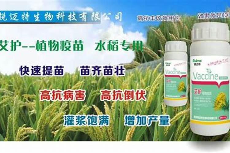 玉米6叶期打什么药