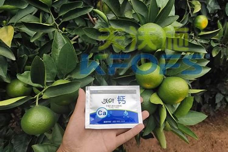 硼肥叶面喷施用量