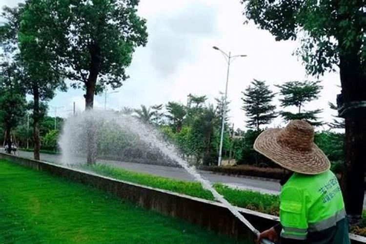 绿化施肥在什么季节最好