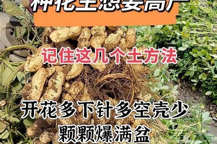 变质花生米怎么做肥料