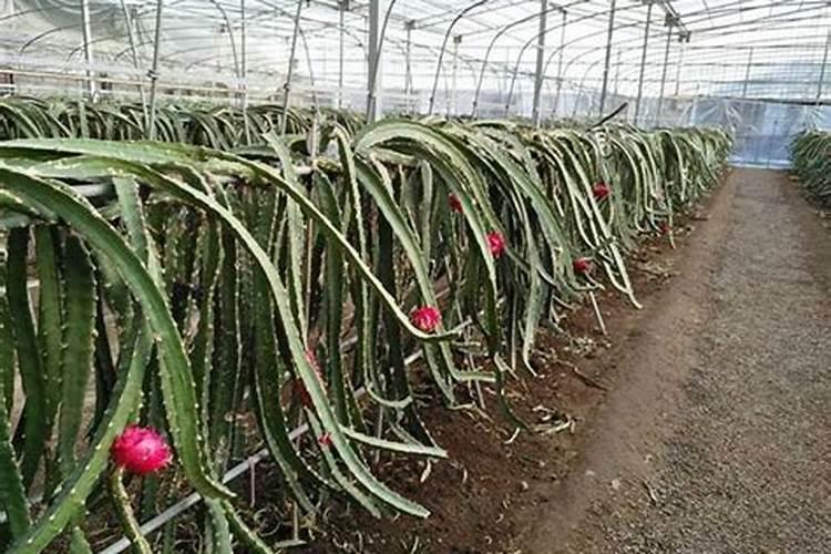 宁夏银川市有几个汽配城.分别叫什么名字？做几路车？