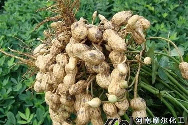 拖把头和杆怎么连接