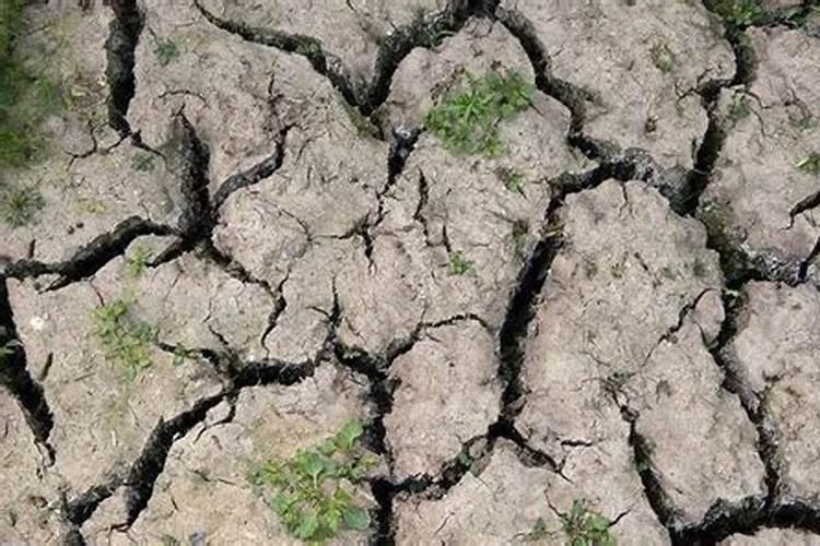 大量使用化肥对土壤造成什么危害？