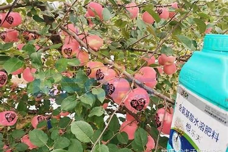 氨基酸水溶肥十大品牌